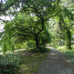 Fort Mahan Park