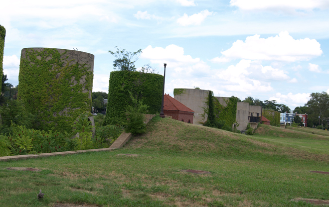 mcmillan3