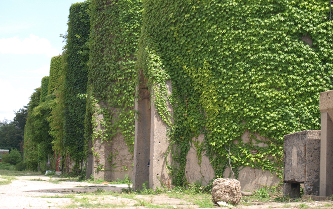mcmillan9