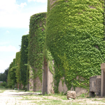 McMillan Sand Filtration Site