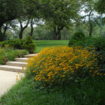 Upper and Lower Senate Garden