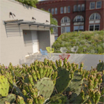 ASLA Green Roof