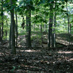 Rock Creek Park