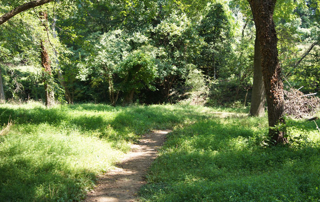 park10