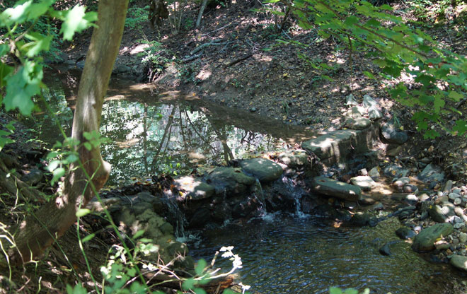 park6