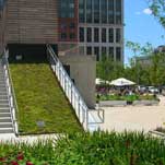 Canal Park