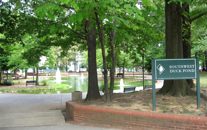 Southwest Duckpond