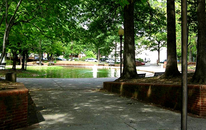 duckpond8