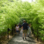 Smithsonian National Zoo Park